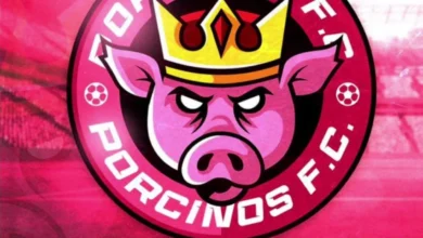 بورسينوس FC يُسقط أبطال إسبانيا ويبلغ دور الـ16 مباشرة 1 بورسينوس FC يتألق في باريس